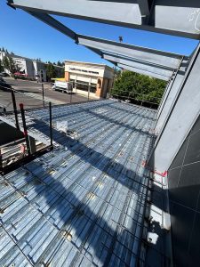 IMG_3796 copy